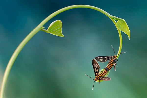 Photograph Hendy Mp  Curve Love on One Eyeland